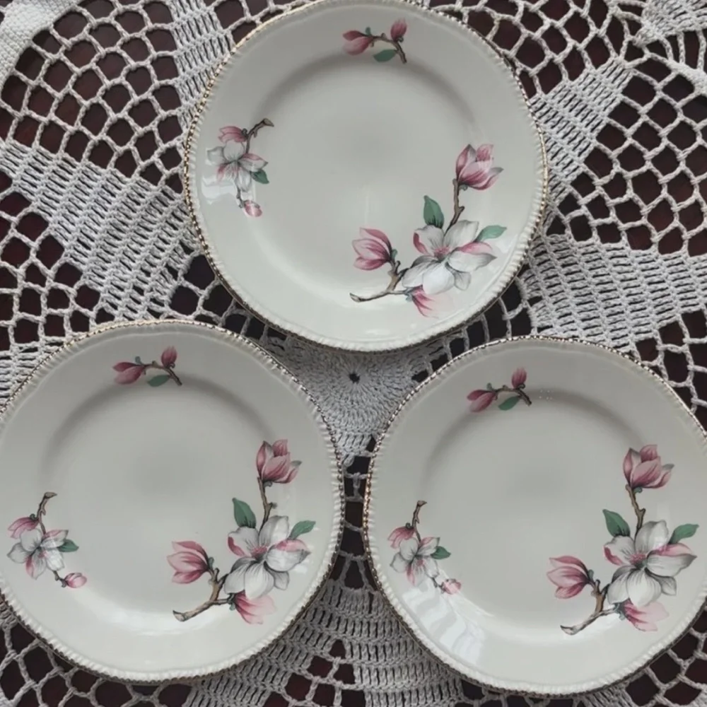 Homer Laughlin Dogwood Fine China Floral Plate Set Vintage Pink Gold Trim Pc Set